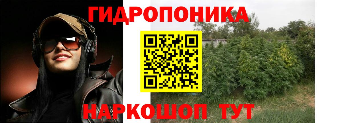 Бошки марихуана OG Kush  Бошки марихуана конопля  Вход с VPN  МАРИХУАНА сатива  Зеленодольск 